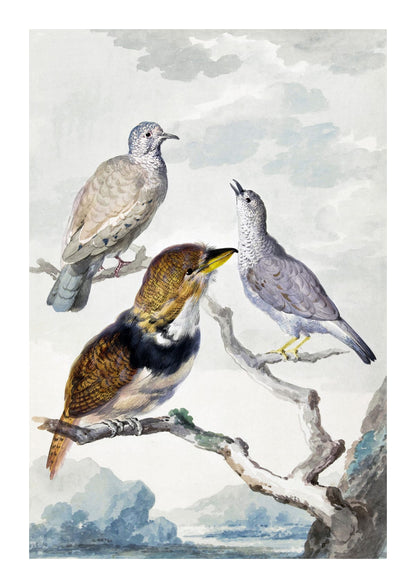 variant-21x30_with-margin