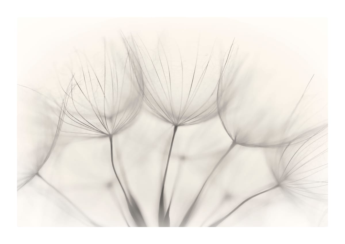 variant-21x30_with-margin