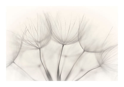 variant-21x30_with-margin
