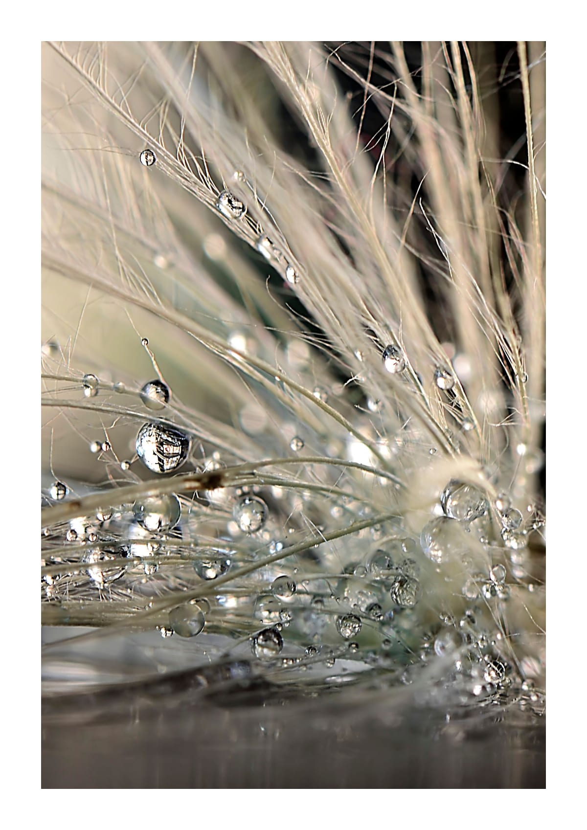 variant-21x30_with-margin