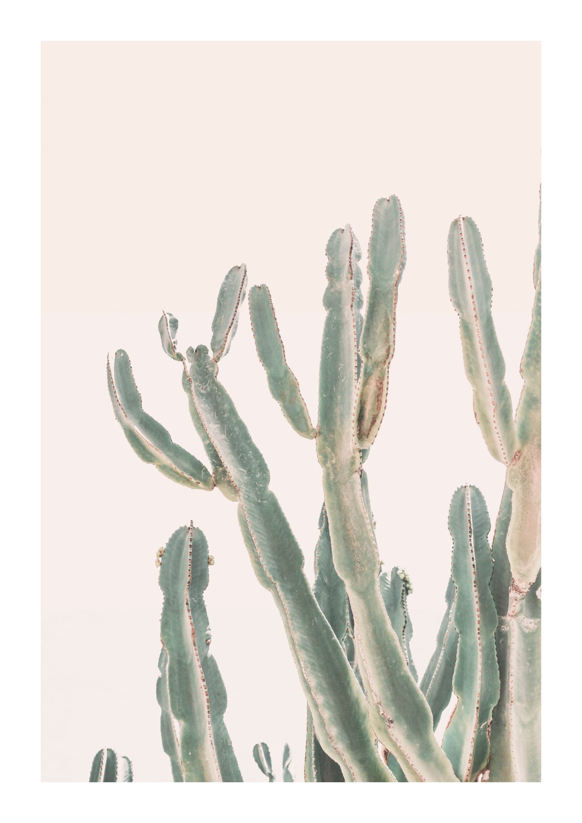 variant-21x30_with-margin