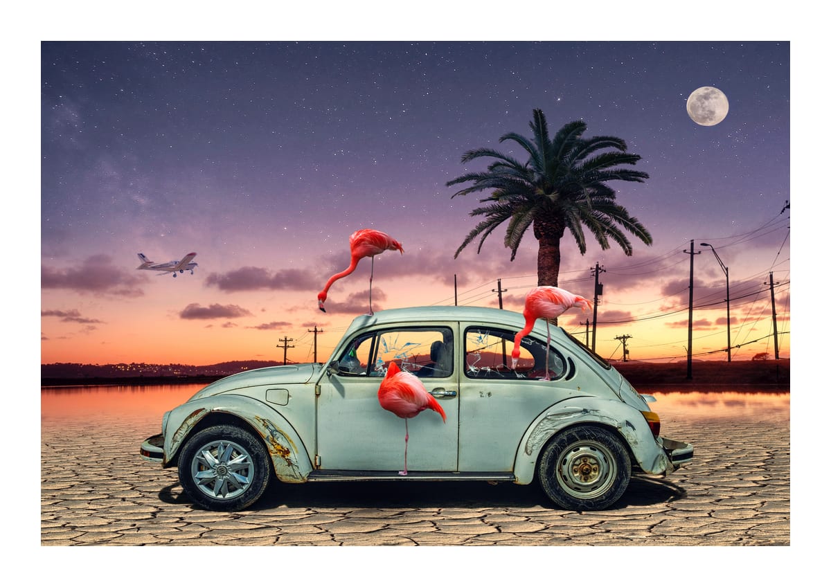 variant-21x30_with-margin