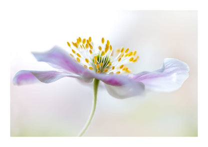 variant-21x30_with-margin