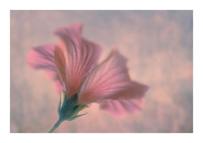 variant-21x30_with-margin