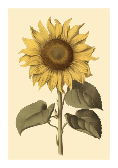 variant-21x30_with-margin