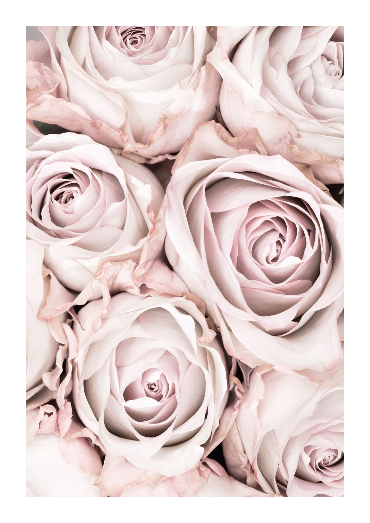 variant-21x30_with-margin