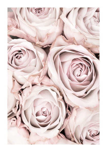 variant-21x30_with-margin