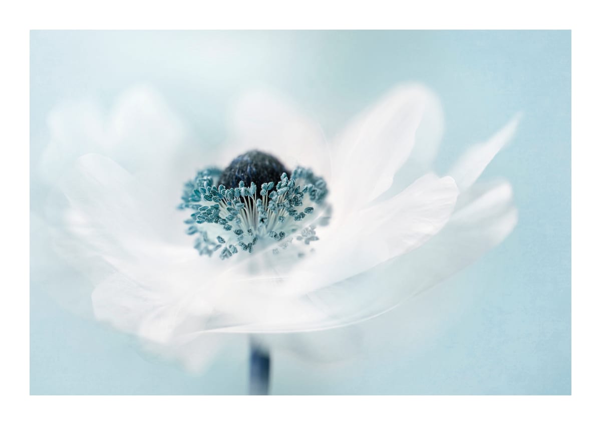 variant-21x30_with-margin