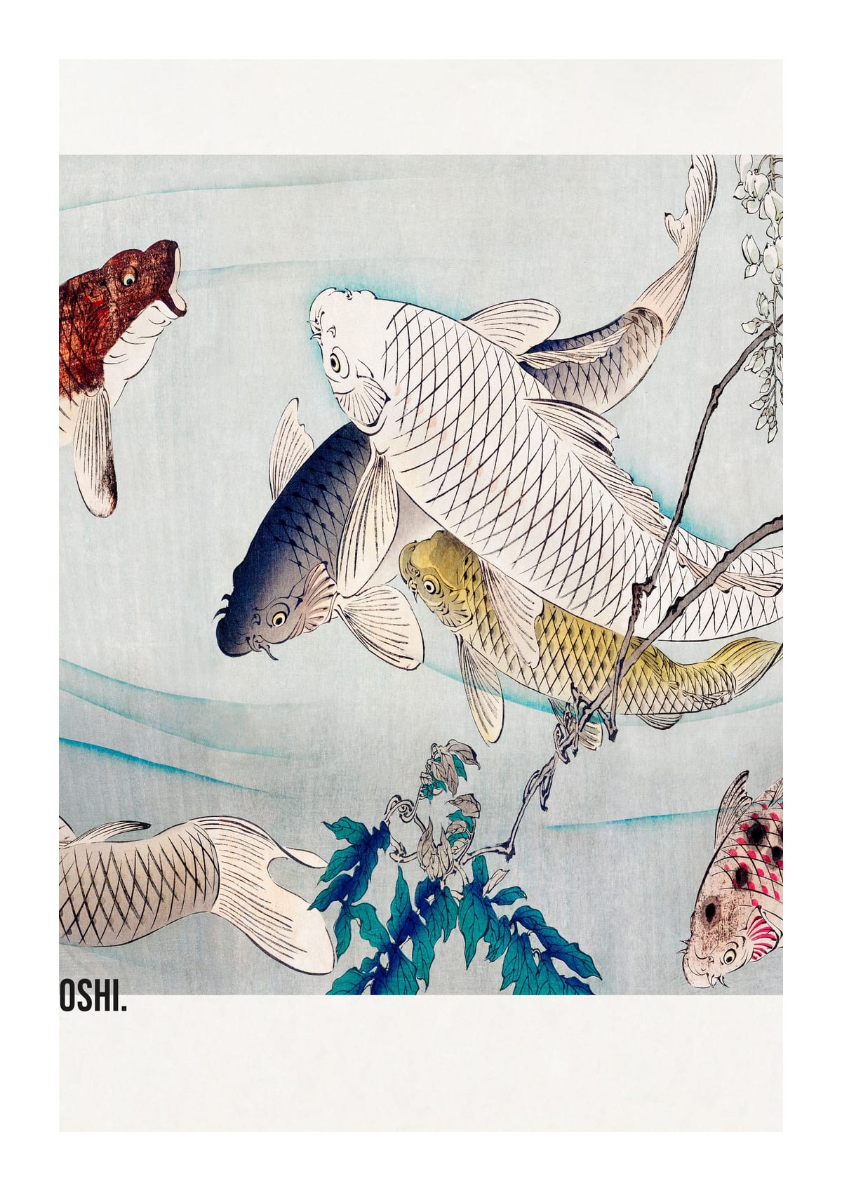 variant-21x30_with-margin