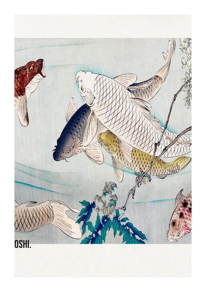 variant-21x30_with-margin