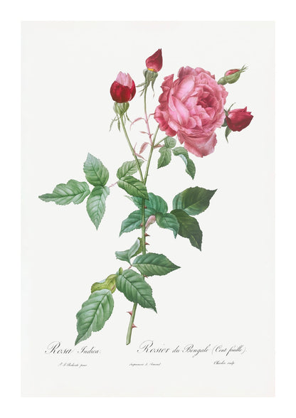variant-21x30_with-margin
