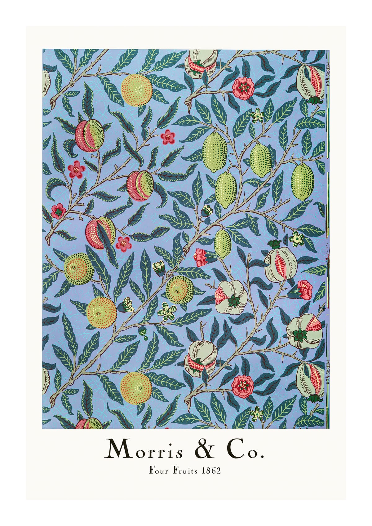 variant-21x30_with-margin