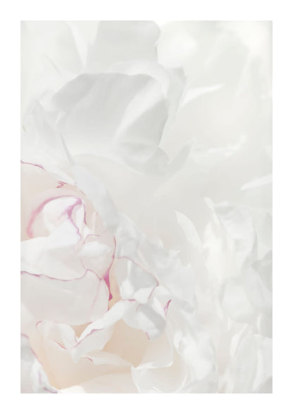 variant-21x30_with-margin