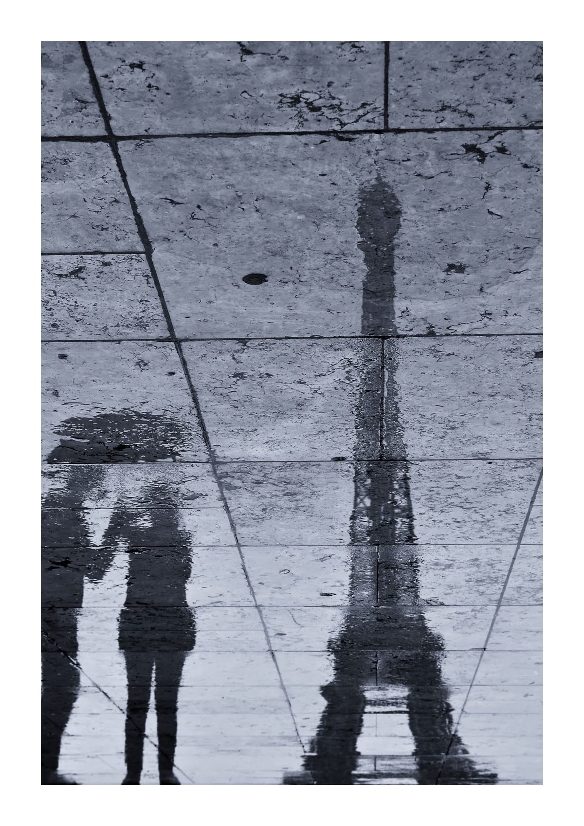 variant-21x30_with-margin