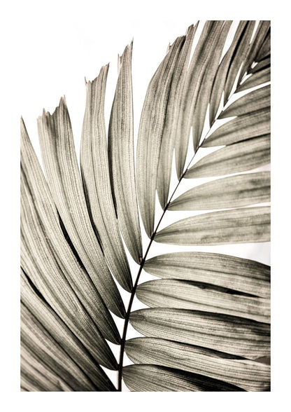 variant-21x30_with-margin