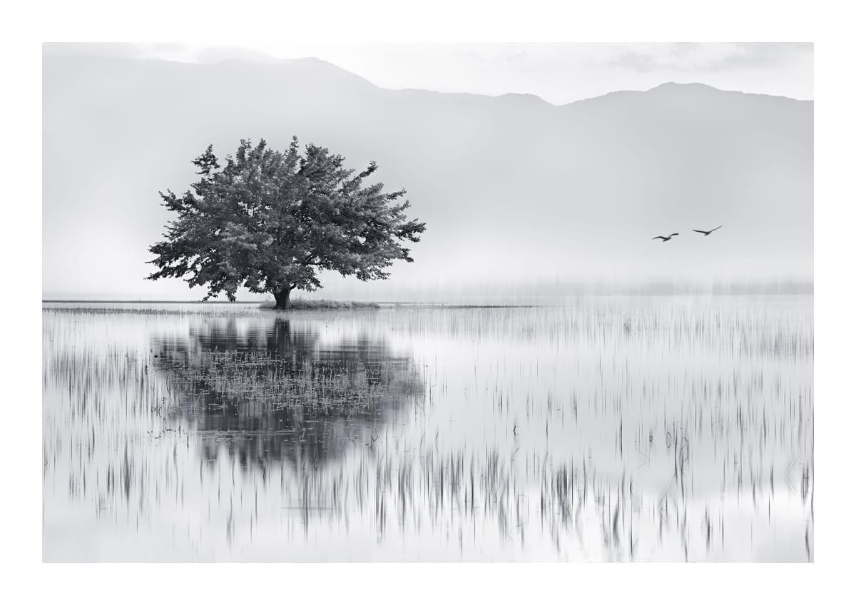 variant-21x30_with-margin