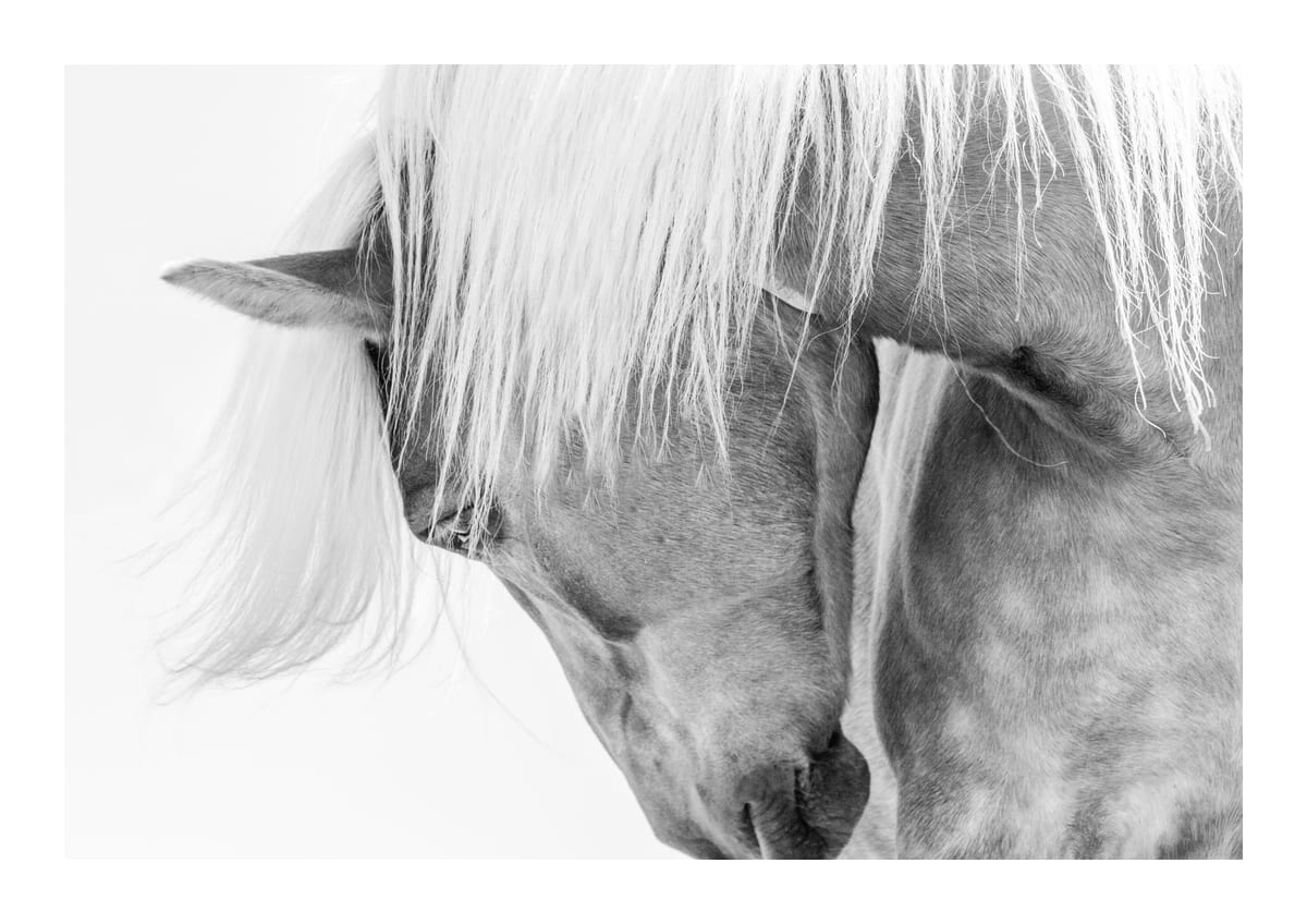 variant-21x30_with-margin