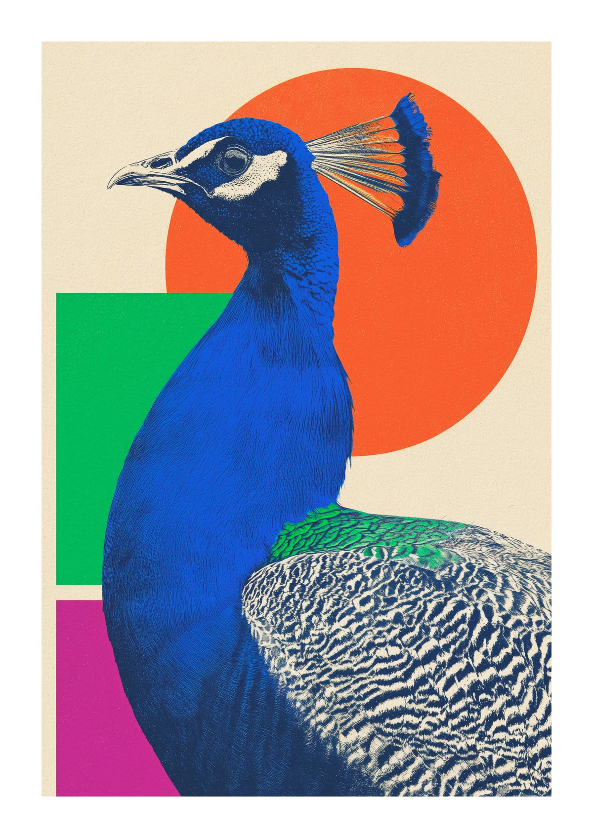 variant-21x30_with-margin