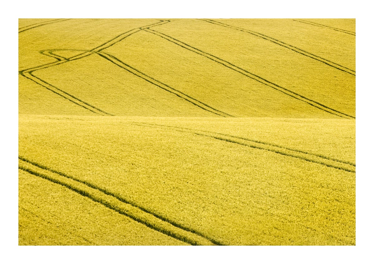 variant-21x30_with-margin