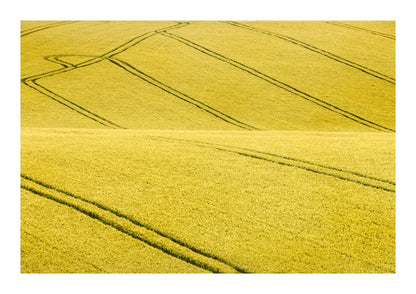 variant-21x30_with-margin