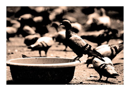 variant-21x30_with-margin