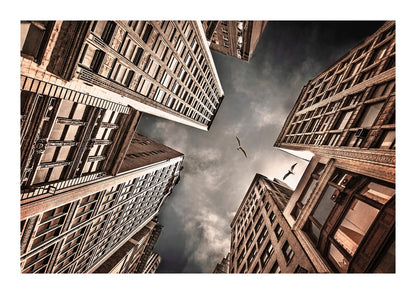 variant-21x30_with-margin