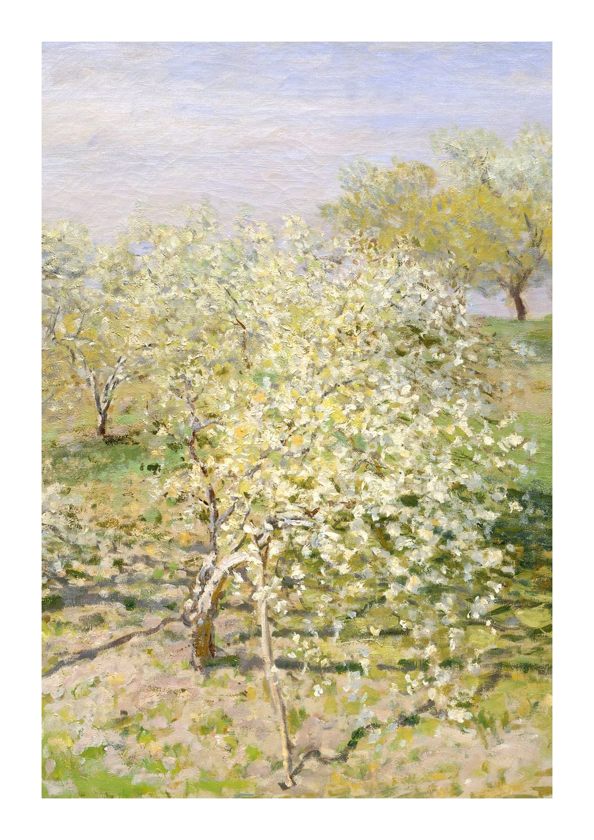 variant-21x30_with-margin