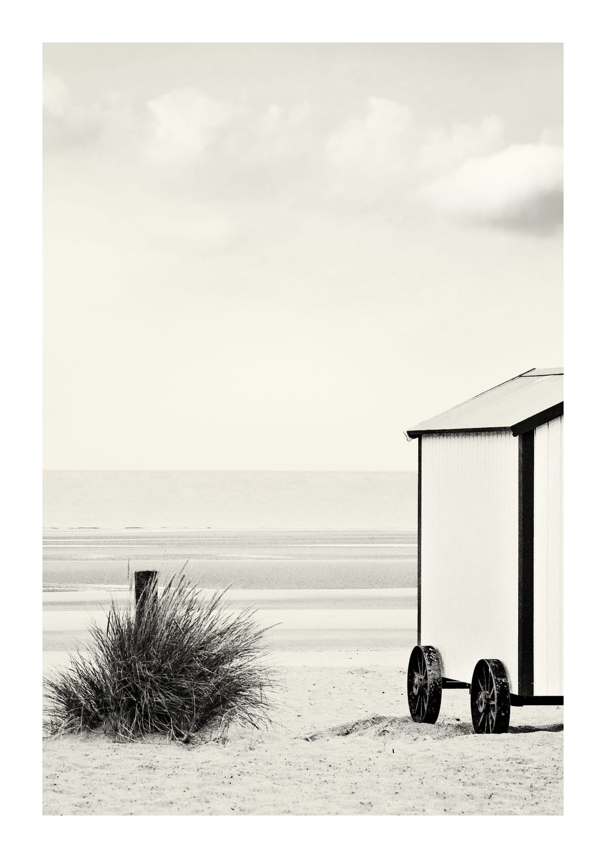 variant-21x30_with-margin