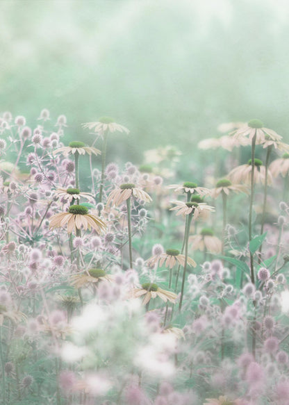 A soft-focus, dreamy photograph of a field of wildflowers, including pale coneflowers with green centers and fuzzy pink thistles, set against a hazy, light green background, creating an ethereal and serene atmosphere. The image is shown within a thin black frame. Poster
