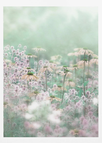 A soft-focus, dreamy photograph of a field of wildflowers, including pale coneflowers with green centers and fuzzy pink thistles, set against a hazy, light green background, creating an ethereal and serene atmosphere. The image is shown within a thin black frame. Poster