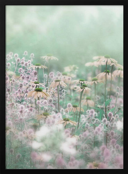 A soft-focus, dreamy photograph of a field of wildflowers, including pale coneflowers with green centers and fuzzy pink thistles, set against a hazy, light green background, creating an ethereal and serene atmosphere. The image is shown within a thin black frame. Poster