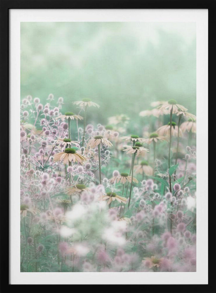 A soft-focus, dreamy photograph of a field of wildflowers, including pale coneflowers with green centers and fuzzy pink thistles, set against a hazy, light green background, creating an ethereal and serene atmosphere. The image is shown within a thin black frame. Poster