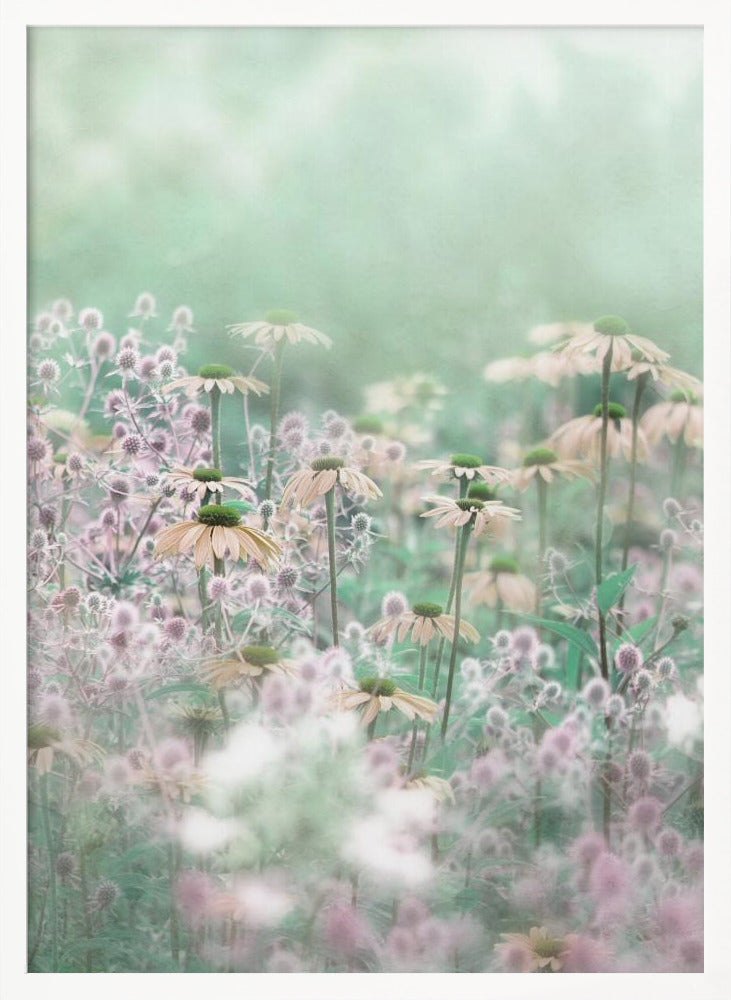 A soft-focus, dreamy photograph of a field of wildflowers, including pale coneflowers with green centers and fuzzy pink thistles, set against a hazy, light green background, creating an ethereal and serene atmosphere. The image is shown within a thin black frame. Poster