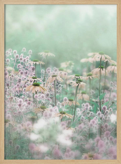 A soft-focus, dreamy photograph of a field of wildflowers, including pale coneflowers with green centers and fuzzy pink thistles, set against a hazy, light green background, creating an ethereal and serene atmosphere. The image is shown within a thin black frame. Poster