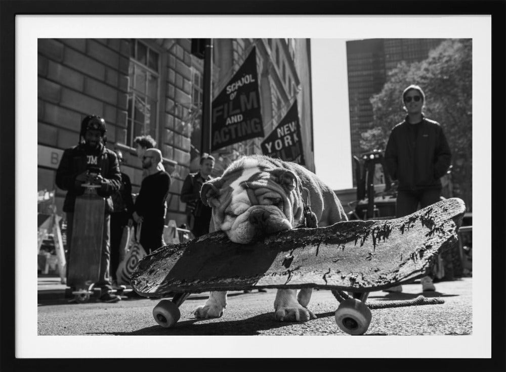 A low-angle, black and white photograph of a tired-looking English bulldog resting its chin on a rugged, old skateboard on a city street. In the blurred background, people stand near buildings, and a flag for a 'School of Film and Acting, New York' is visible. Decor