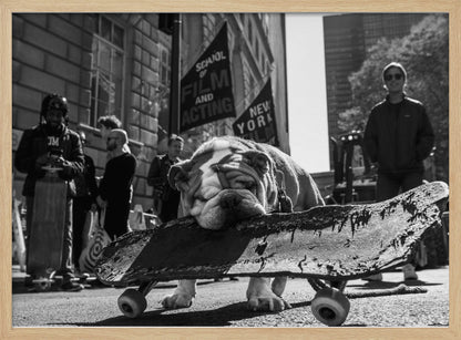A low-angle, black and white photograph of a tired-looking English bulldog resting its chin on a rugged, old skateboard on a city street. In the blurred background, people stand near buildings, and a flag for a 'School of Film and Acting, New York' is visible. Decor
