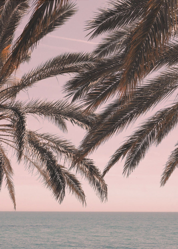 Dark palm tree fronds hang over a calm teal ocean under a soft pink sky, creating a serene and tropical atmosphere. The view is from under the palm tree looking out towards the water. Artwork