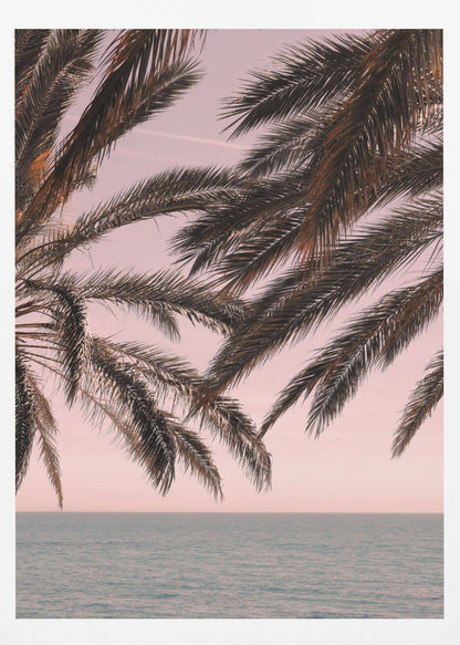 Dark palm tree fronds hang over a calm teal ocean under a soft pink sky, creating a serene and tropical atmosphere. The view is from under the palm tree looking out towards the water. Artwork
