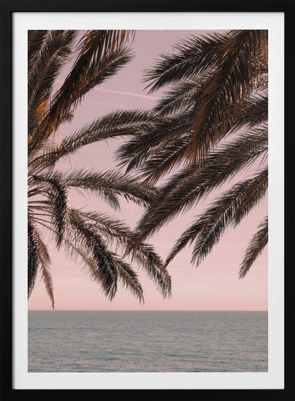 Dark palm tree fronds hang over a calm teal ocean under a soft pink sky, creating a serene and tropical atmosphere. The view is from under the palm tree looking out towards the water. Artwork