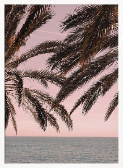 Dark palm tree fronds hang over a calm teal ocean under a soft pink sky, creating a serene and tropical atmosphere. The view is from under the palm tree looking out towards the water. Artwork