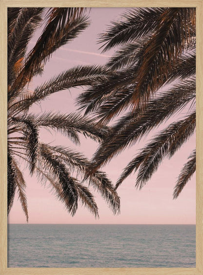 Dark palm tree fronds hang over a calm teal ocean under a soft pink sky, creating a serene and tropical atmosphere. The view is from under the palm tree looking out towards the water. Artwork