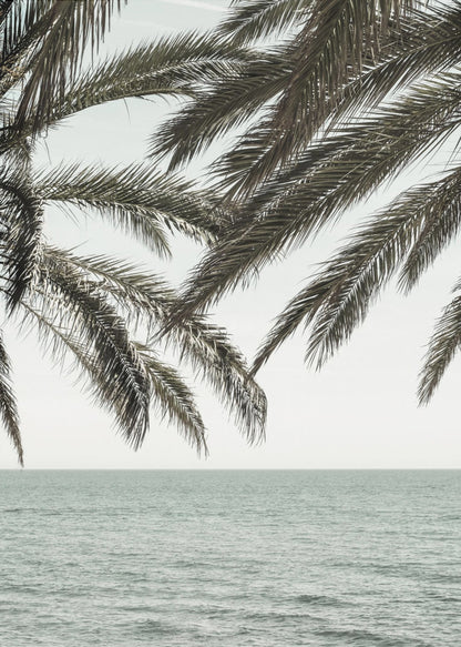 A close-up view of dark green palm tree fronds hanging over a calm, muted sage green ocean under a pale, overcast sky. The photograph has a serene and tranquil mood and is displayed in a black frame. Wall Art