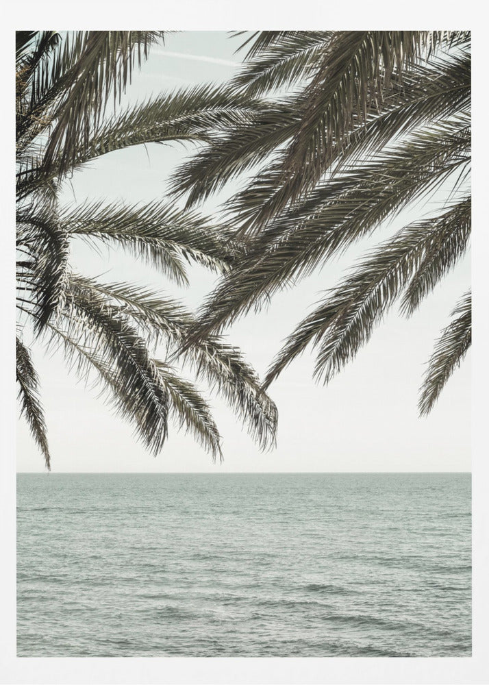 A close-up view of dark green palm tree fronds hanging over a calm, muted sage green ocean under a pale, overcast sky. The photograph has a serene and tranquil mood and is displayed in a black frame. Wall Art