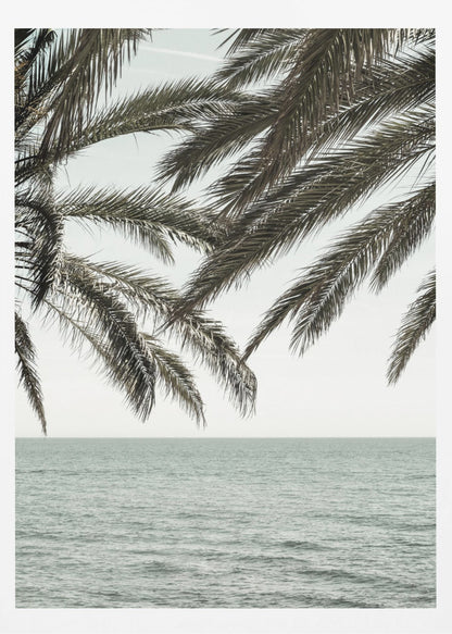 A close-up view of dark green palm tree fronds hanging over a calm, muted sage green ocean under a pale, overcast sky. The photograph has a serene and tranquil mood and is displayed in a black frame. Wall Art