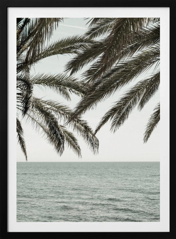 A close-up view of dark green palm tree fronds hanging over a calm, muted sage green ocean under a pale, overcast sky. The photograph has a serene and tranquil mood and is displayed in a black frame. Wall Art