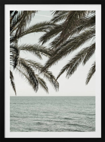 A close-up view of dark green palm tree fronds hanging over a calm, muted sage green ocean under a pale, overcast sky. The photograph has a serene and tranquil mood and is displayed in a black frame. Wall Art
