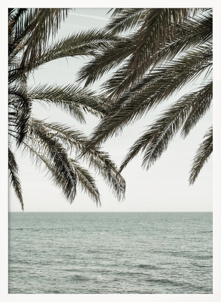 A close-up view of dark green palm tree fronds hanging over a calm, muted sage green ocean under a pale, overcast sky. The photograph has a serene and tranquil mood and is displayed in a black frame. Wall Art