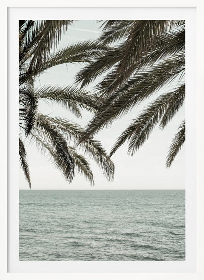 A close-up view of dark green palm tree fronds hanging over a calm, muted sage green ocean under a pale, overcast sky. The photograph has a serene and tranquil mood and is displayed in a black frame. Wall Art