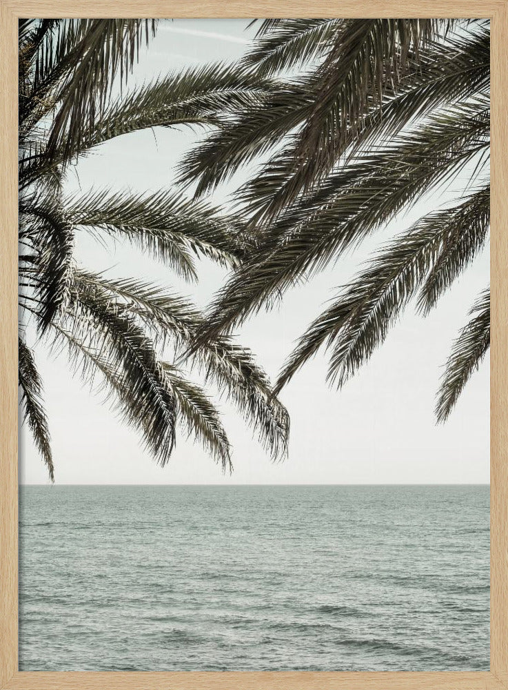 A close-up view of dark green palm tree fronds hanging over a calm, muted sage green ocean under a pale, overcast sky. The photograph has a serene and tranquil mood and is displayed in a black frame. Wall Art