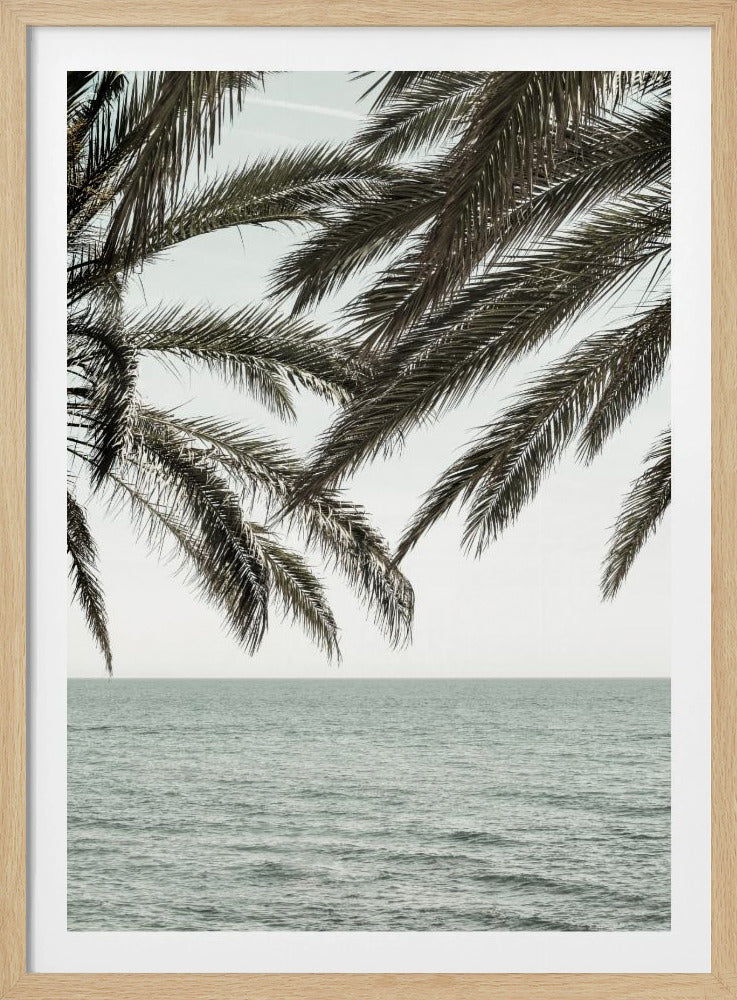 A close-up view of dark green palm tree fronds hanging over a calm, muted sage green ocean under a pale, overcast sky. The photograph has a serene and tranquil mood and is displayed in a black frame. Wall Art